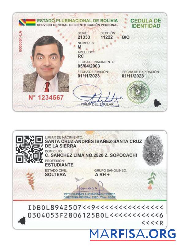 Realistic Bolivia ID Card 2023 Present example