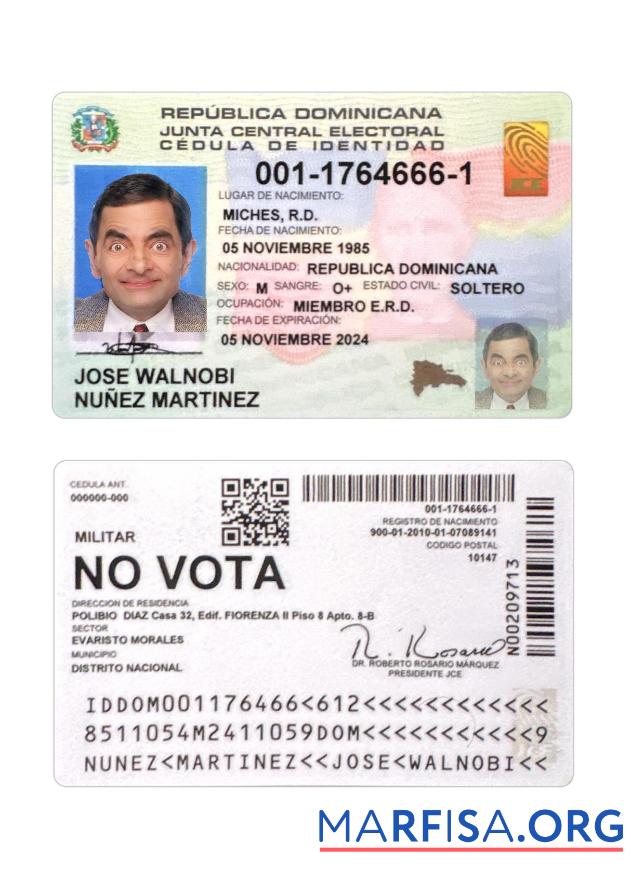 Blank Dominican Republic ID Card real example