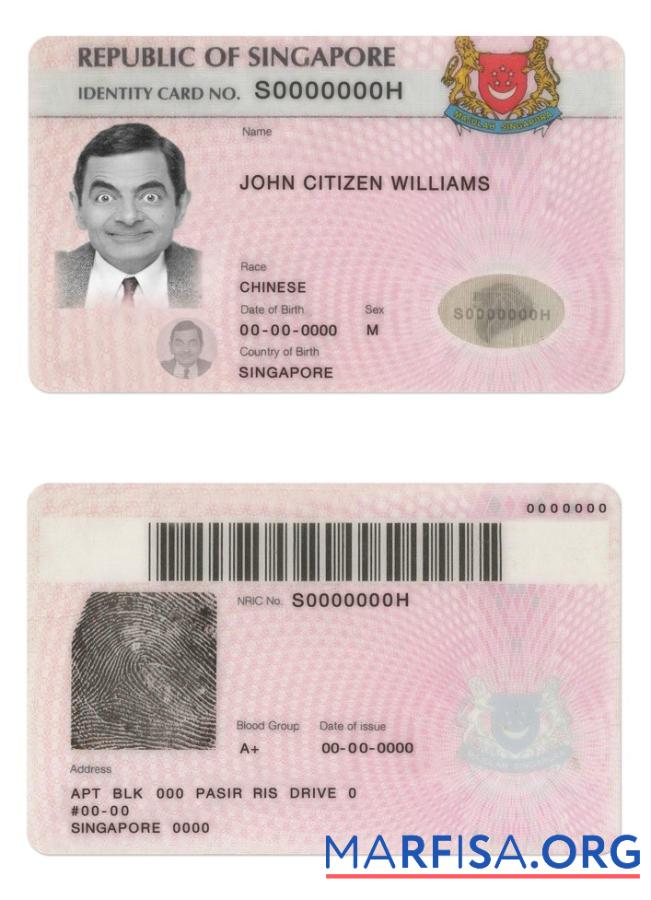 Blank Singapore ID real example