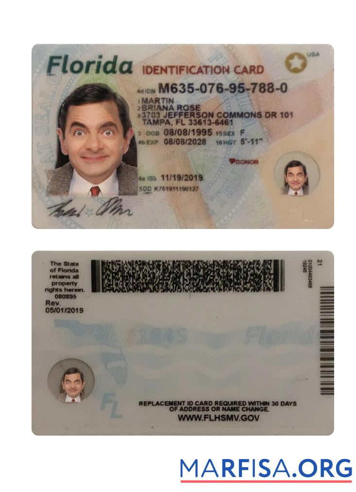 Printable USA Florida ID Card real example