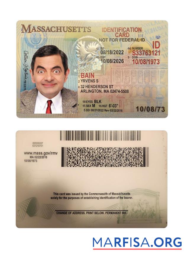 Printable USA Massachusetts ID Card example