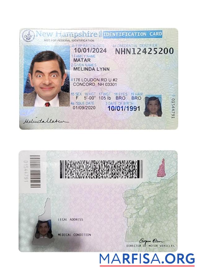 Blank USA New Hampshire ID Card example