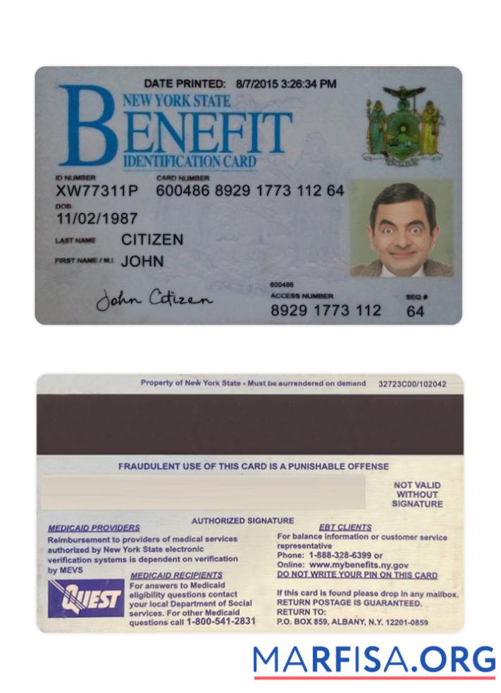 Realistic USA New York Benefit ID Card template
