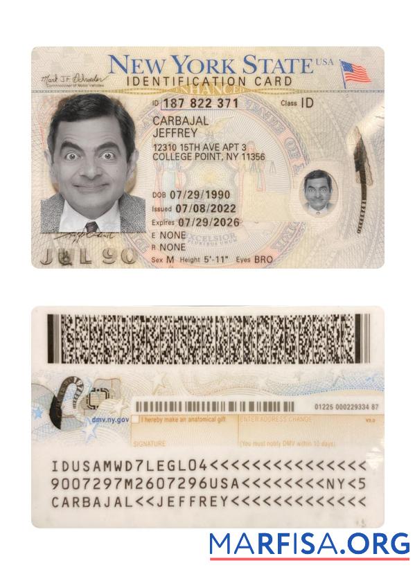 Printable USA New York ID Card 2022 Present example