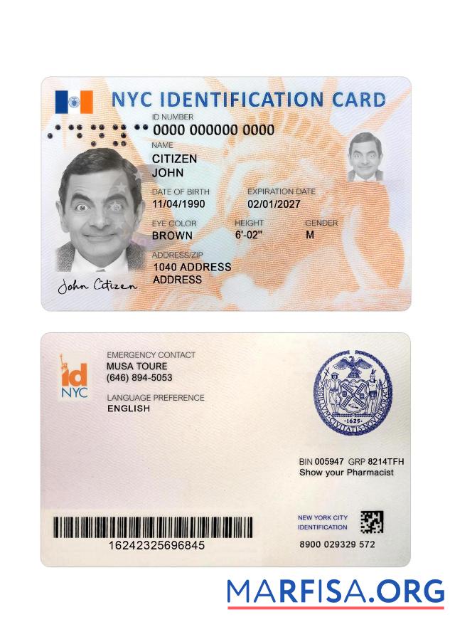 Printable USA New York New ID Card real example